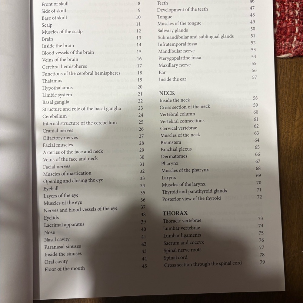 Human Body Coloring Book - Picture 12 of 15
